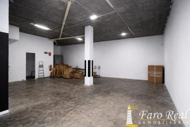 60567fc9-0004238295